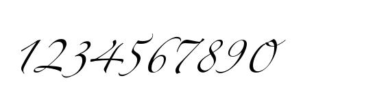 ZapfinoExtraLT Two Font, Number Fonts