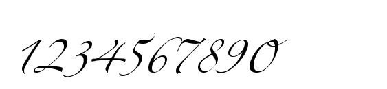 Zeferino Three Font, Number Fonts