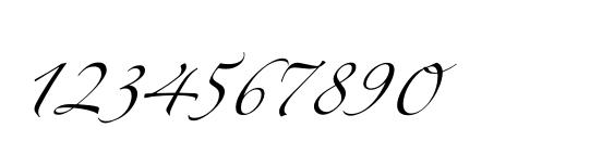 Zeferinothree Font, Number Fonts