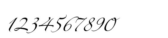 Zeferinotwo Font, Number Fonts